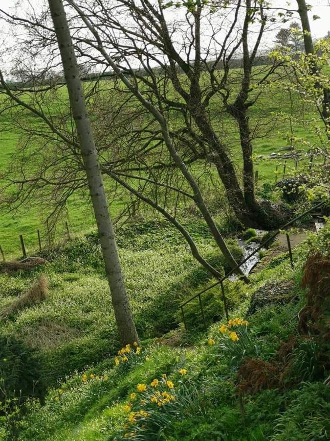Relax In A 1 Bedroom Apartment Near A Country Pub Eyemouth Bagian luar foto