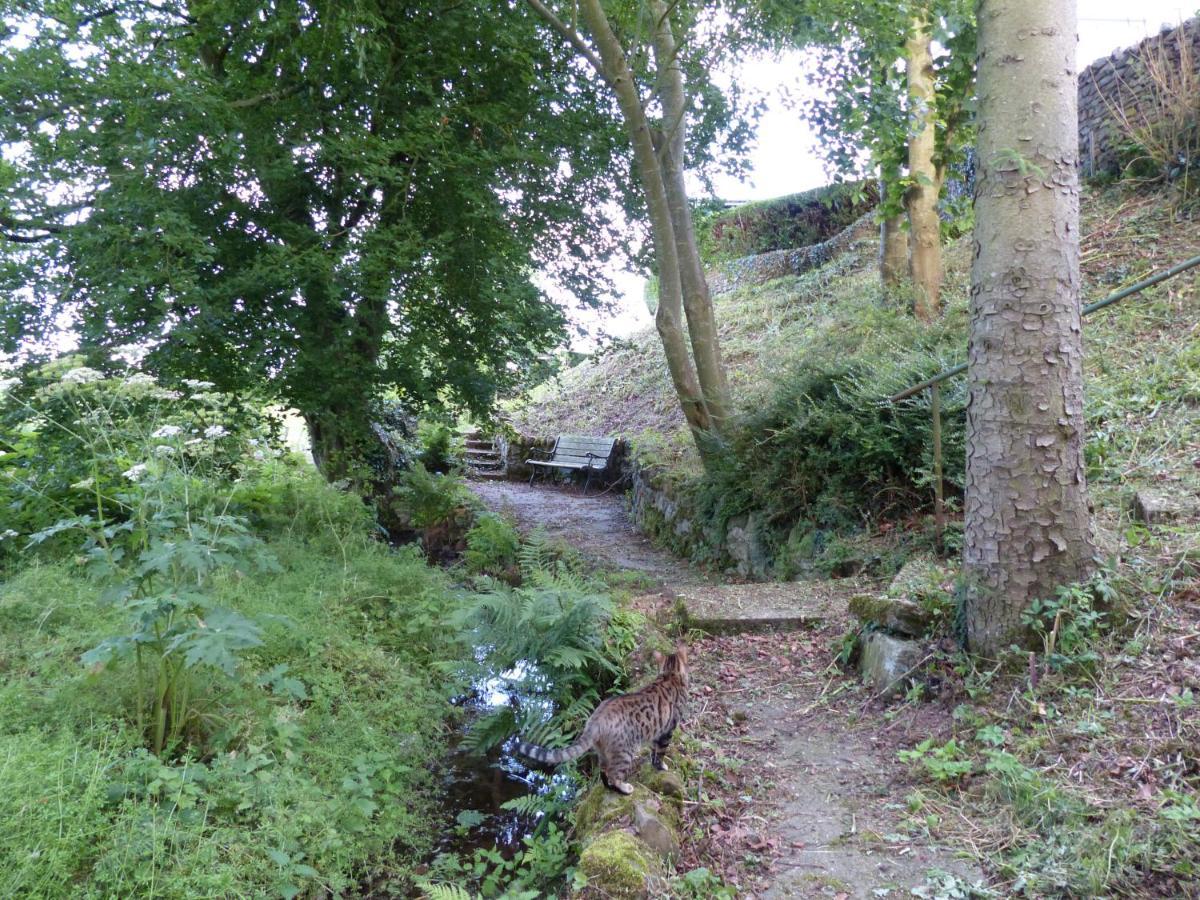 Relax In A 1 Bedroom Apartment Near A Country Pub Eyemouth Bagian luar foto