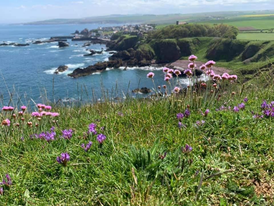 Relax In A 1 Bedroom Apartment Near A Country Pub Eyemouth Bagian luar foto
